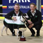 2021 TAB Adelaide Cup Final - Review